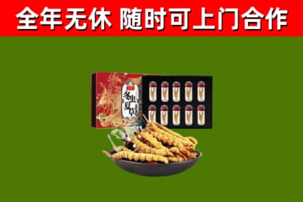 云霄回收冬虫夏草价格