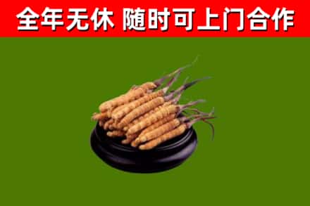 云霄烟酒回收冬虫夏草.jpg
